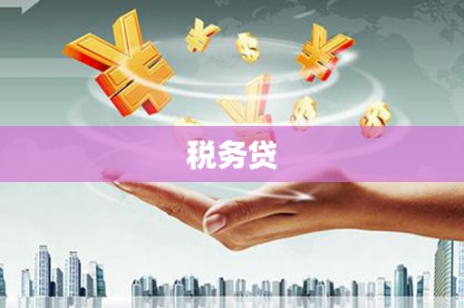 美兰税务贷