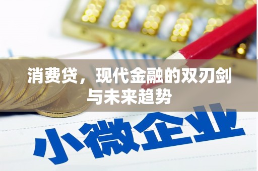 美兰消费贷，现代金融的双刃剑与未来趋势