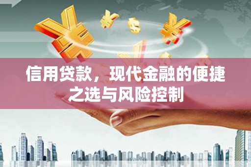 美兰信用贷款，现代金融的便捷之选与风险控制