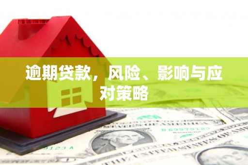美兰逾期贷款，风险、影响与应对策略