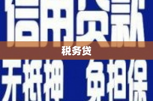 美兰税务贷