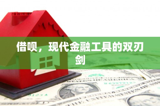 美兰借呗，现代金融工具的双刃剑