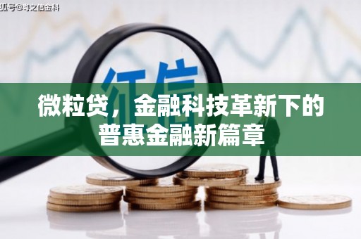 美兰微粒贷，金融科技革新下的普惠金融新篇章