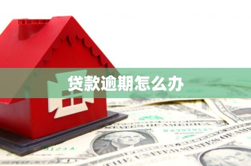 美兰贷款逾期怎么办