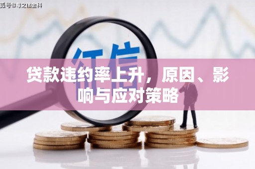 美兰贷款违约率上升，原因、影响与应对策略