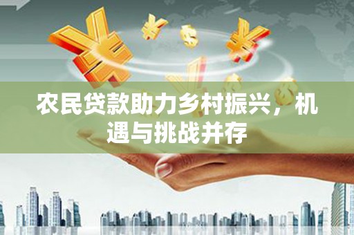 美兰农民贷款助力乡村振兴，机遇与挑战并存