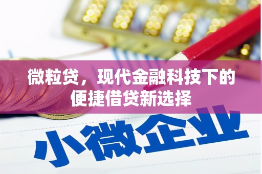 美兰微粒贷，现代金融科技下的便捷借贷新选择