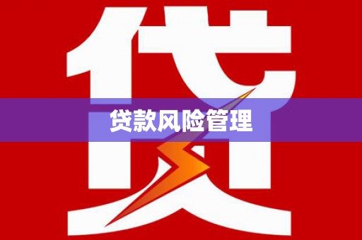 美兰贷款风险管理