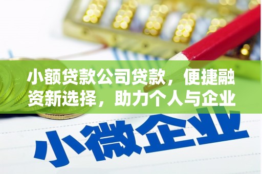 美兰小额贷款公司贷款，便捷融资新选择，助力个人与企业成长