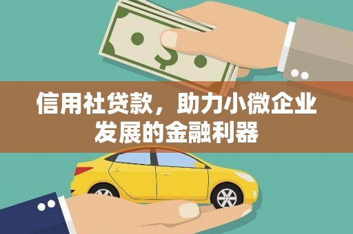 美兰信用社贷款，助力小微企业发展的金融利器