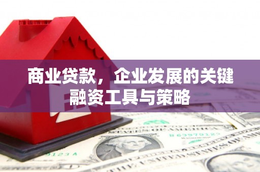 美兰商业贷款，企业发展的关键融资工具与策略