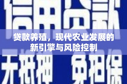 美兰贷款养殖，现代农业发展的新引擎与风险控制