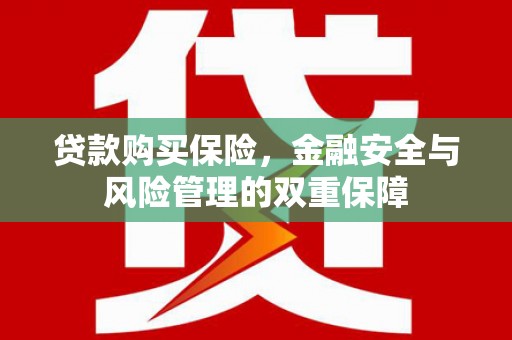 美兰贷款购买保险，金融安全与风险管理的双重保障