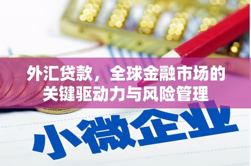 美兰外汇贷款，全球金融市场的关键驱动力与风险管理