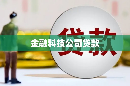 美兰金融科技公司贷款