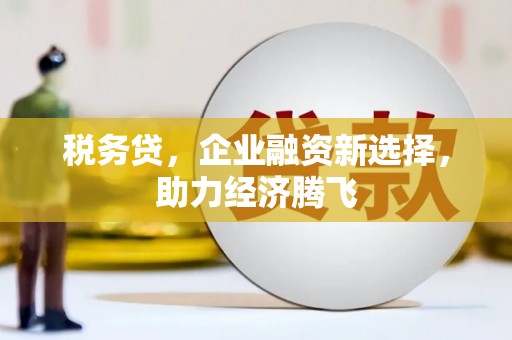 美兰税务贷，企业融资新选择，助力经济腾飞