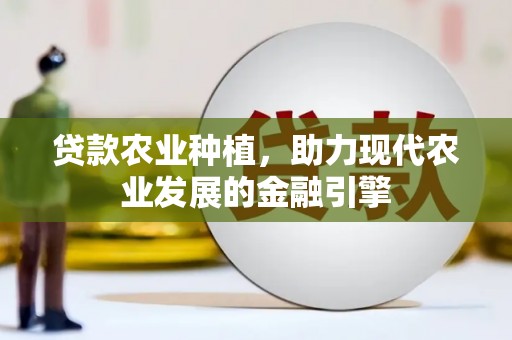 美兰贷款农业种植，助力现代农业发展的金融引擎