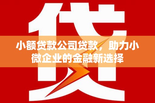 美兰小额贷款公司贷款，助力小微企业的金融新选择