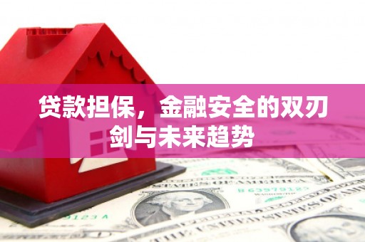 美兰贷款担保，金融安全的双刃剑与未来趋势