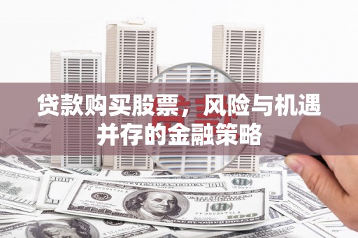 美兰贷款购买股票，风险与机遇并存的金融策略