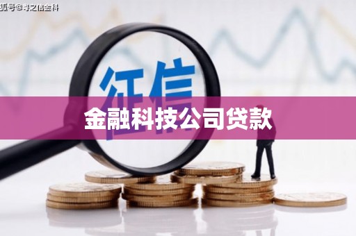 美兰金融科技公司贷款