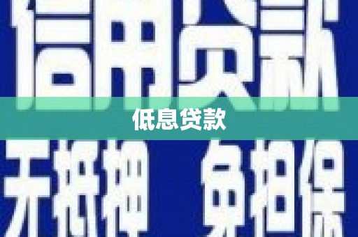 美兰低息贷款