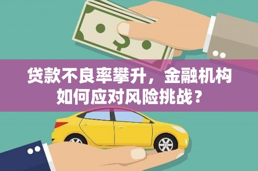 美兰贷款不良率攀升，金融机构如何应对风险挑战？