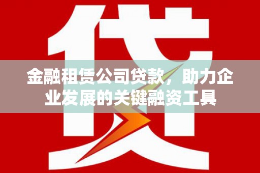 美兰金融租赁公司贷款，助力企业发展的关键融资工具
