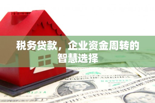 美兰税务贷款，企业资金周转的智慧选择