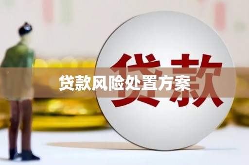 美兰贷款风险处置方案