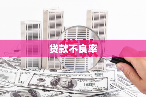 美兰贷款不良率