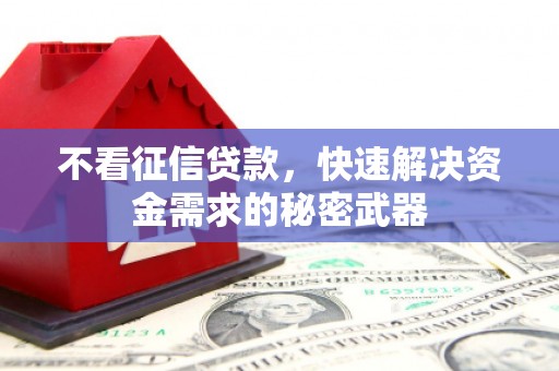 美兰不看征信贷款，快速解决资金需求的秘密武器