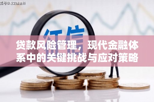 美兰贷款风险管理，现代金融体系中的关键挑战与应对策略