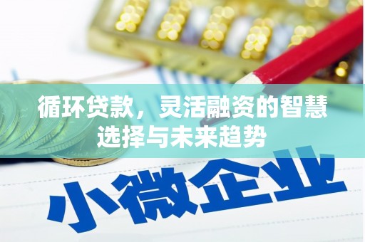 美兰循环贷款，灵活融资的智慧选择与未来趋势