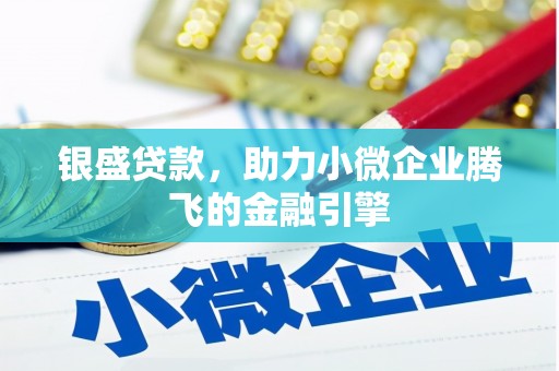 美兰银盛贷款，助力小微企业腾飞的金融引擎
