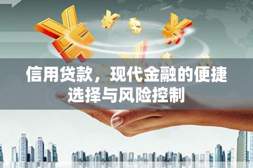 美兰信用贷款，现代金融的便捷选择与风险控制