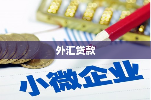 美兰外汇贷款