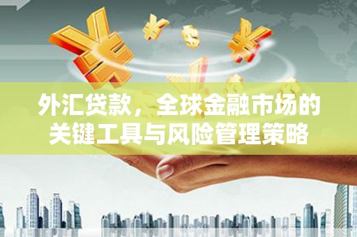 美兰外汇贷款，全球金融市场的关键工具与风险管理策略