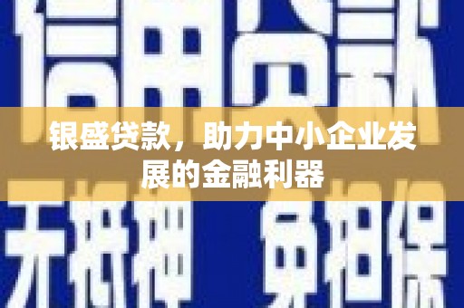 美兰银盛贷款，助力中小企业发展的金融利器