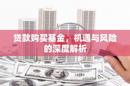 美兰贷款购买基金，机遇与风险的深度解析