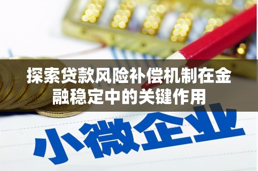 美兰探索贷款风险补偿机制在金融稳定中的关键作用