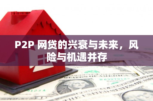 美兰P2P 网贷的兴衰与未来，风险与机遇并存