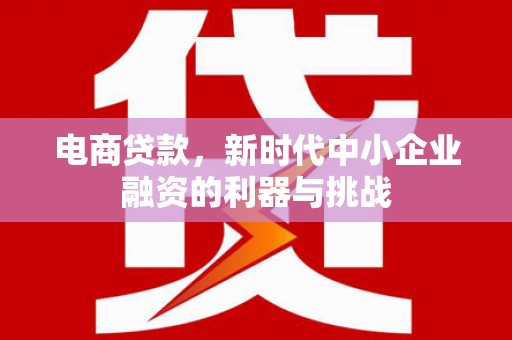 美兰电商贷款，新时代中小企业融资的利器与挑战