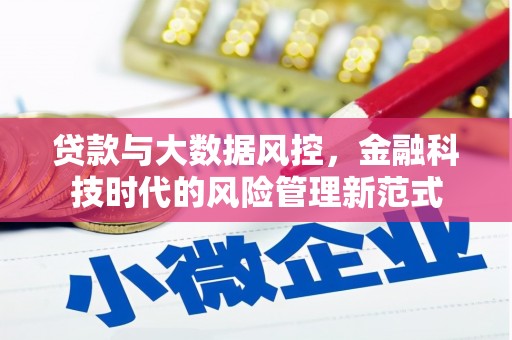 美兰贷款与大数据风控，金融科技时代的风险管理新范式