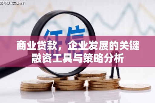 美兰商业贷款，企业发展的关键融资工具与策略分析