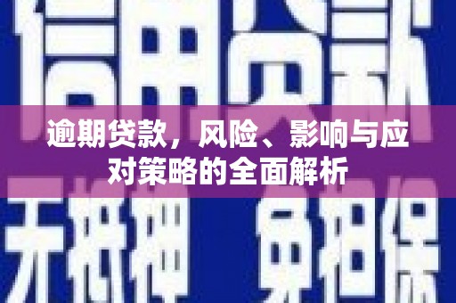 美兰逾期贷款，风险、影响与应对策略的全面解析