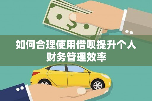 美兰如何合理使用借呗提升个人财务管理效率