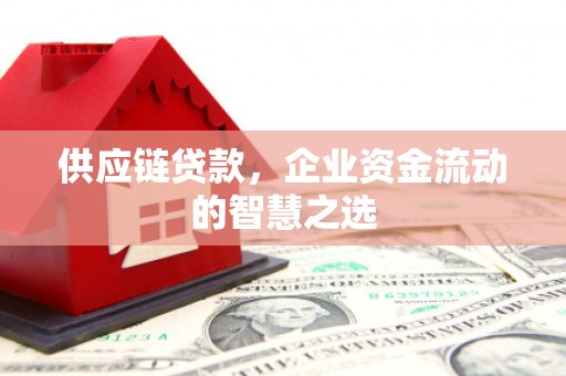 美兰供应链贷款，企业资金流动的智慧之选