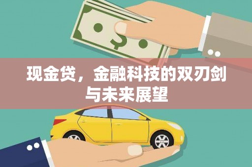 美兰现金贷，金融科技的双刃剑与未来展望