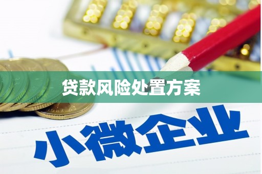 美兰贷款风险处置方案